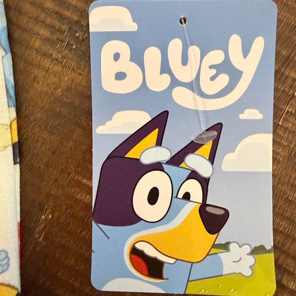Bluey! 3-6 Month Double zip up Footie Sleeper Bluey & Bingo SOFT FEEL NWT - Picture 8 of 9
